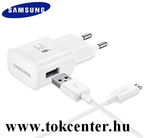 Hálózati töltő USB aljzat (5V / 2000 mA, gyorstöltés támogatás + EP-DG925UWE microUSB kábel) FEHÉR